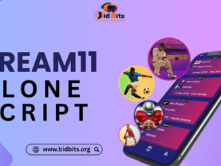 automate-prize-distribution-instantly-in-dream11-clone-script
