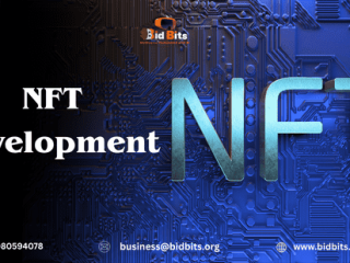 implement-reliable-token-standards-for-nft-development